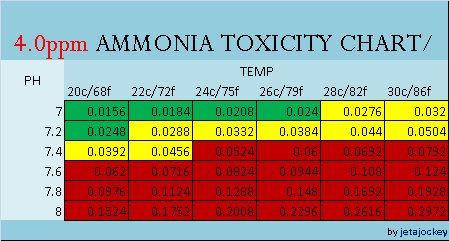 Your Guide to Ammonia Toxicity - Aquarium Advice - Aquarium ...