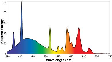mofo-21157-spectrum-graph.jpg