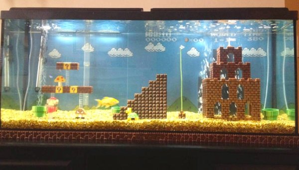 Super-Mario-Bros_-aquarium-fish-tank-DIY-project.jpg