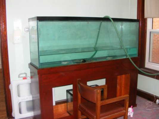 Fish Tank 064.jpg