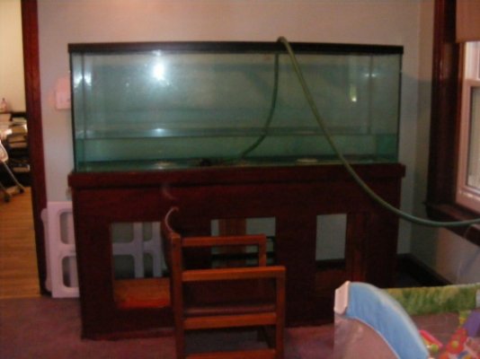 Fish Tank 062.jpg