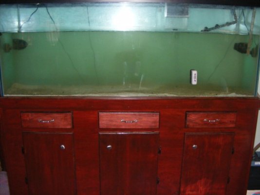 Fish Tank 083.jpg