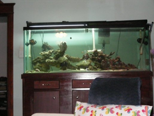 Fish Tank 172.jpg