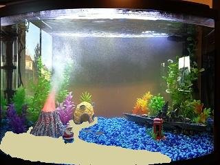 Fish Tank 2 EDIT.jpg