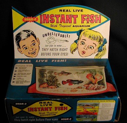 instantfish1.jpeg