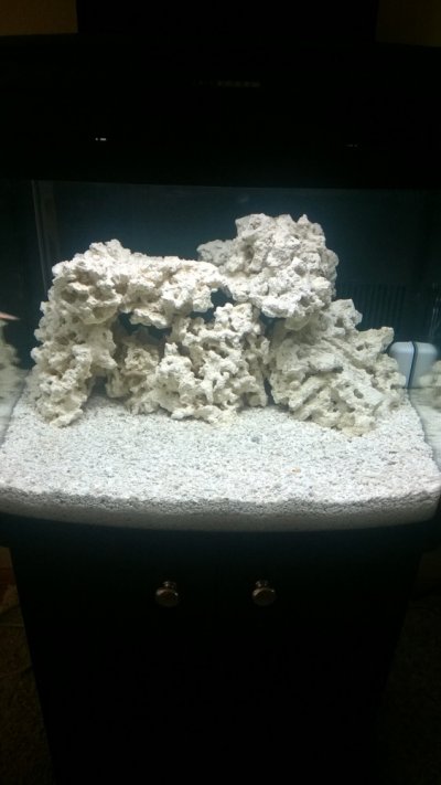 1st morning after rock added to tank 5-14-14.jpg