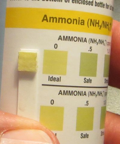 ammonia_072614.jpg
