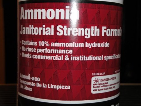 Ammonia - 06.jpg