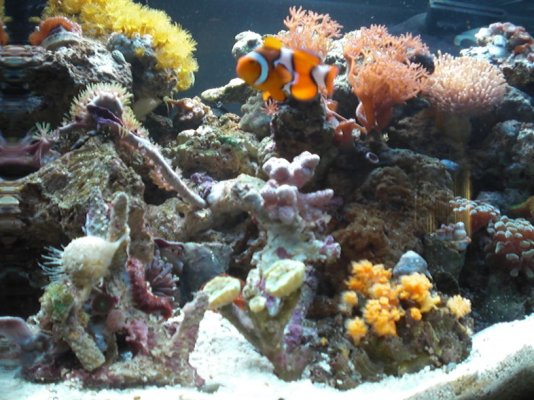 aquarium 003.jpg