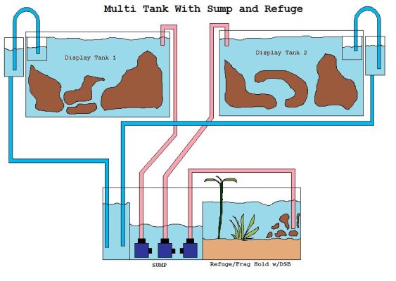 multi tank with sump and refuge.jpg
