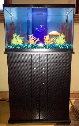 my aquarium.jpg