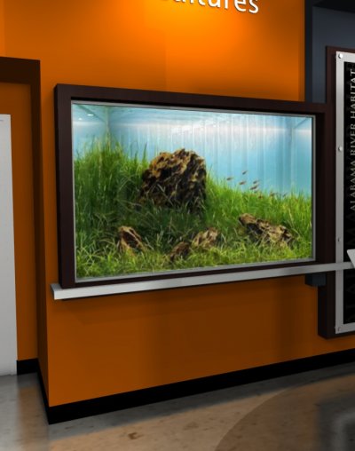 Fish-aquarium.jpg