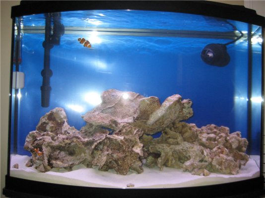 aquarium_w_first_fish.jpg