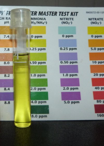 ammonia with color chart.jpg