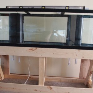 125 Gallon with overflows build