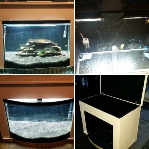 My DIY Aquarium build.