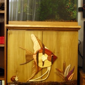 15 gal bedroom
hand-made wood stand with intarsia decorations

Psychotic jewel cichlid who does not play well with others, plant propagation