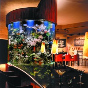 aquarium design for living room dining table