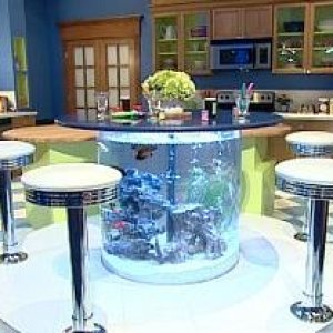 aquarium table 1