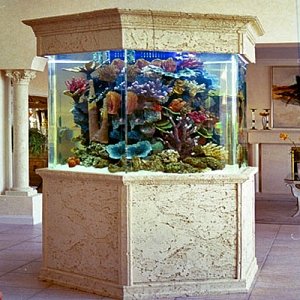 Copy of Great Hexagon aquarium3