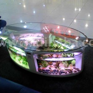 Table Aquarium