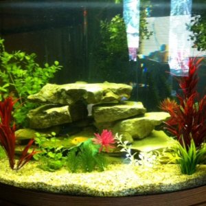 Front of Tank