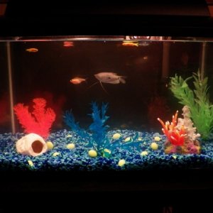 Our Tank :)