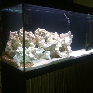 side view of tank