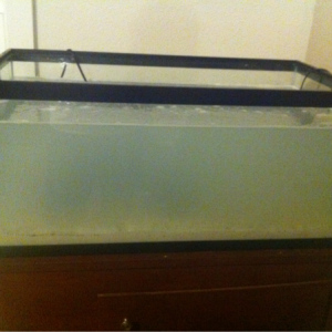 Just added 60lbs live sand 15lbs live rock with premixed water.