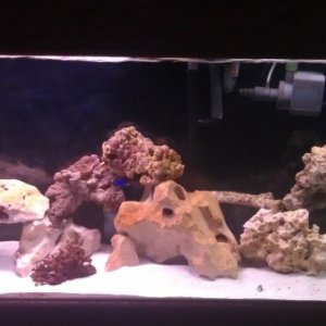 The tank continues to grow. This would be mid November 2011.