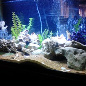 aquarium side view