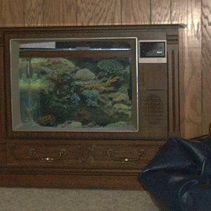 25" console t.v with a 25 gallon saltwater tank inside.