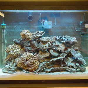 My marine tank, about a month after setup.  Contents: 40lbs aragonite sand, 12 lbs live rock, 32 lbs base rock, diatoms.