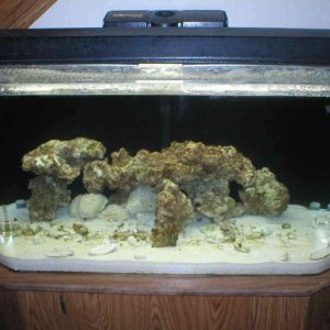 This is my tank with 50# Southdown,5# base rock, and 25# Fiji