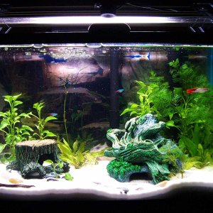 10 gallon tank 
Coralife 20" powercompact fixture with a 6,700k 28w bulb
Penguin 125 Bio wheel 
no co2...yet that is >:)ill have the pics updated when