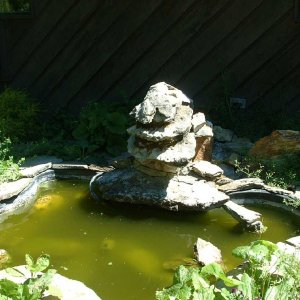 This is my froggy pond.  It is so peaceful and was once home to a silly green frog.  RIP - Froggy...