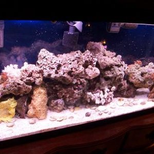 took out the big white dead coral, and the red rock, so i have 45 lbs of all natural LR
