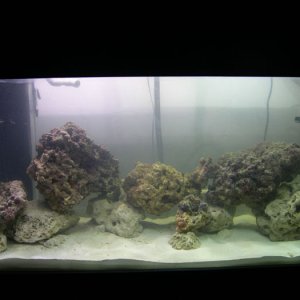90 gal a few days after putting in 60# of LR. There is also 60# of base rock.
