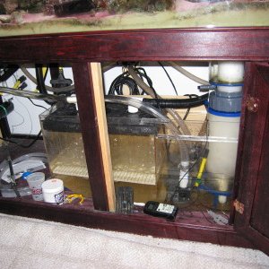 My mechanical room, sump, skimmer and UV.