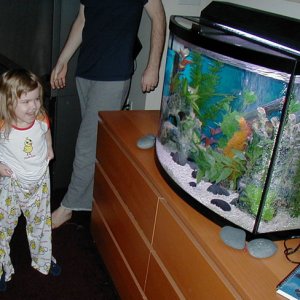 My daughter sees the tank for the first time - she'd been begging me for 2 months for fish.  She's VERY happy!