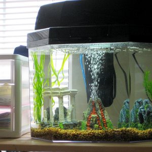 My Aquarium with no fish