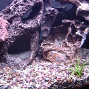Some of the rock work in my tank
