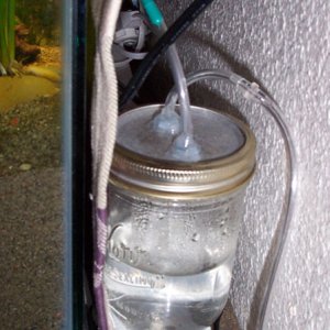 My bubble counter, but I don't count bubbles. It is more of a filter and backflow prevention. It is a glass mason jar, but I don't think there is any 