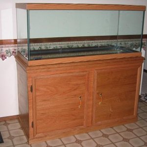 Here is a my 75 gallon aquarium stand that my wife and I built!