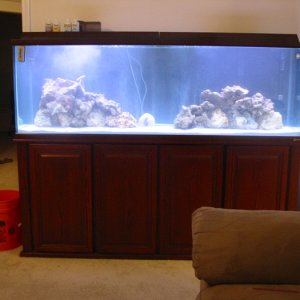 This is the 135 Gallon fish only and live rock tank that DreamerTheresa and I are currently setting up. This is our first saltwater tank so we are tak