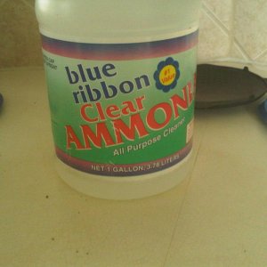 The ammonia I got from True Value