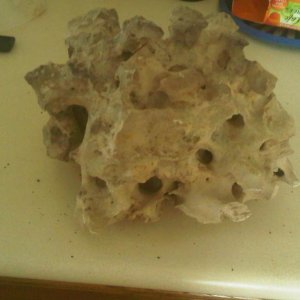 Rock I found at True Value