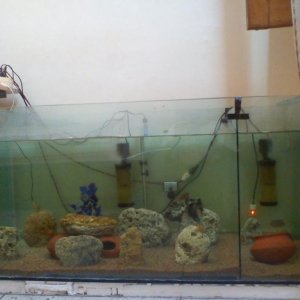 here my first big aquarium but not properly completed