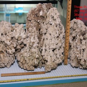 Three rocks from BRS.  Weight: 57 lbs.  5 gallons water displacement.  Max height 18 in.
