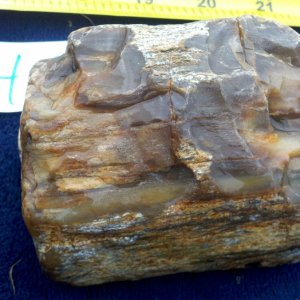 Opalized Agate (not iridescent) looks like a small log.  Beautiful coloration, wood texture, stunning piece, lovely example of Petrified Wood